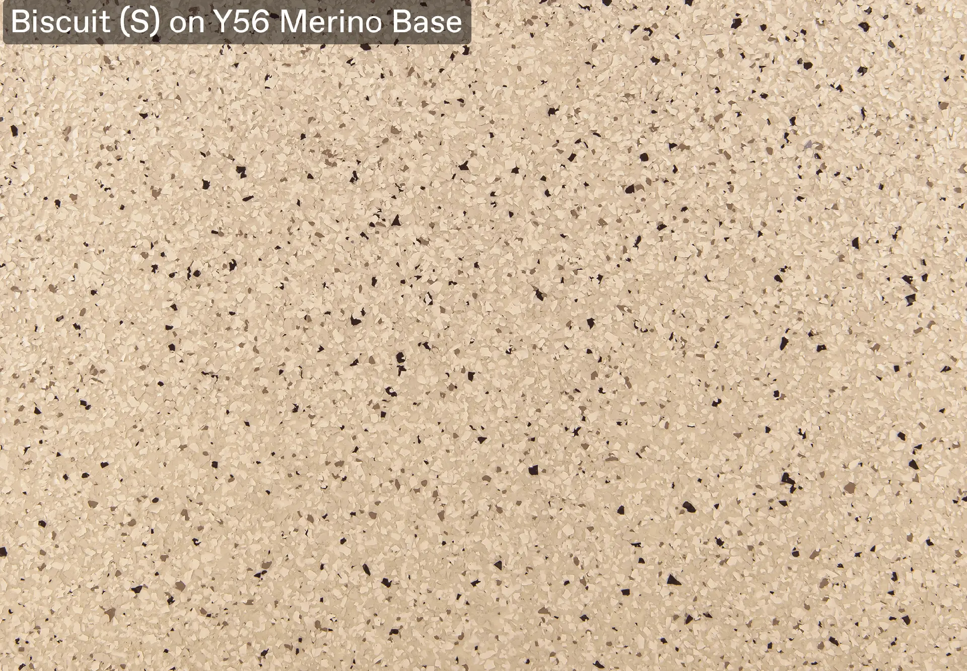 Example of Biscuit (S) on Y56 Merino Base