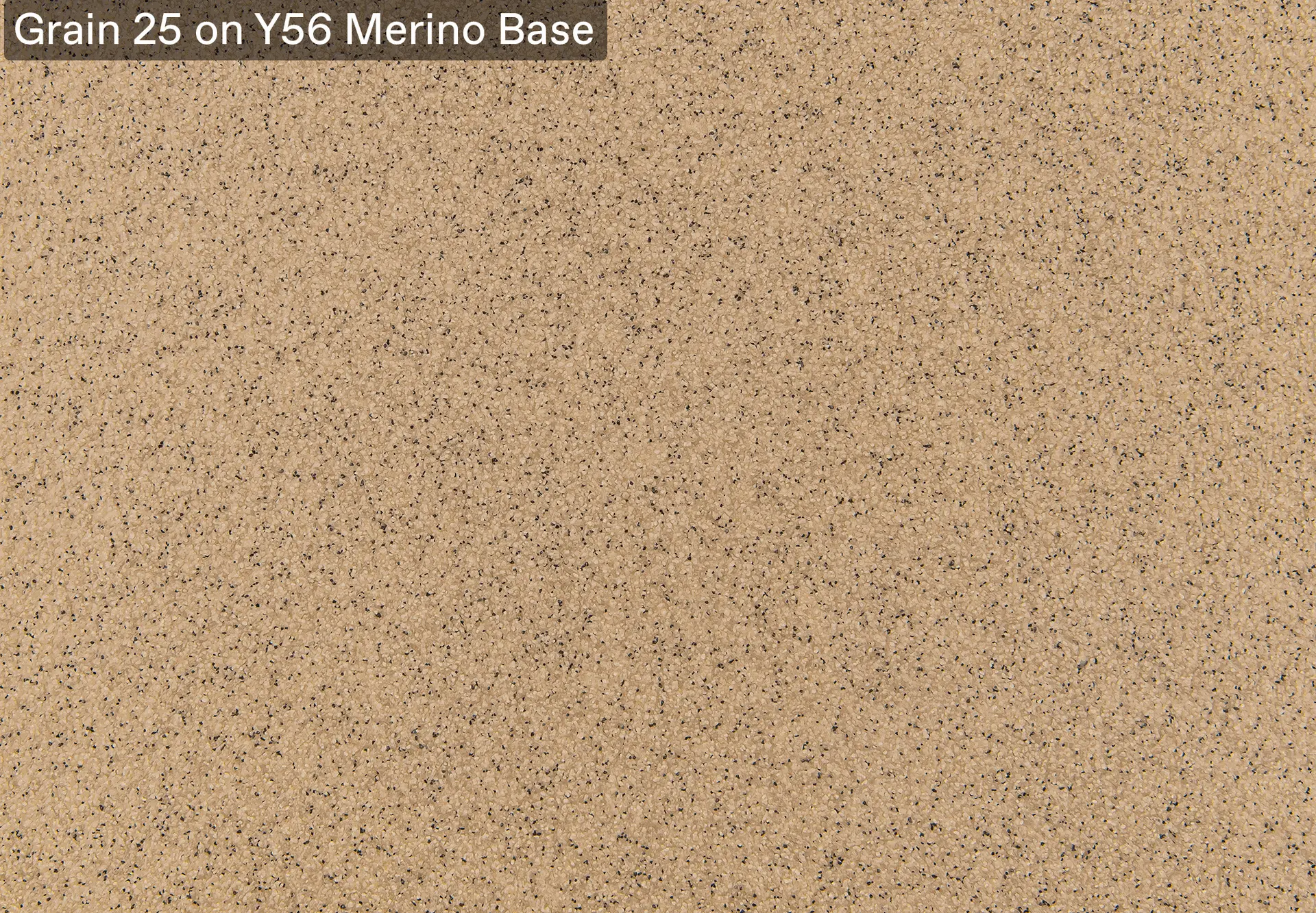 Grain 25 on Y56 Merino Base