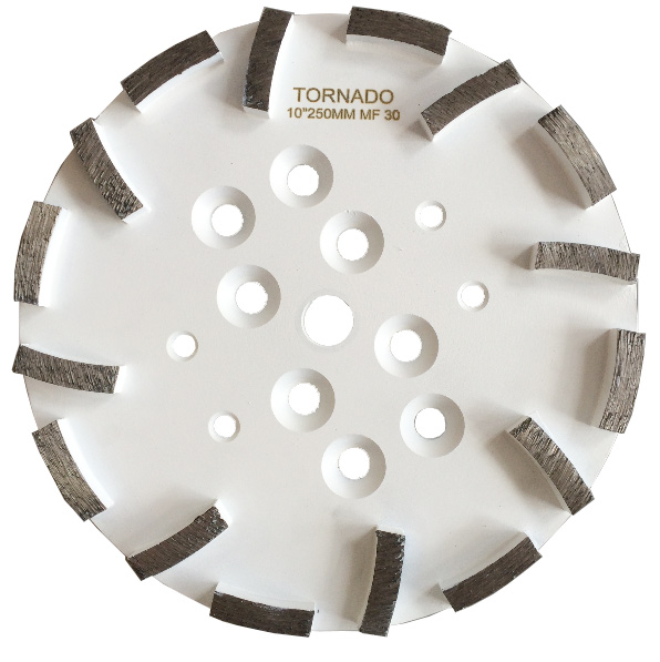 30 Grit White 10" 250mm x 16 Seg Grinding Plate